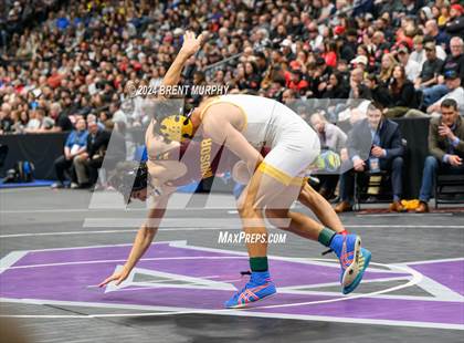 Thumbnail 3 in CHSAA State Championship - 4A Finals photogallery.