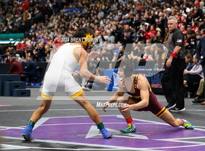 Thumbnail 1 in CHSAA State Championship - 4A Finals photogallery.