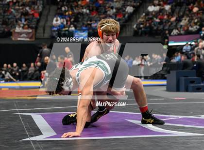 Thumbnail 3 in CHSAA State Championship - 4A Finals photogallery.