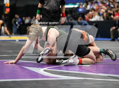Thumbnail 1 in CHSAA State Championship - 4A Finals photogallery.