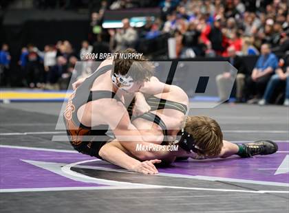 Thumbnail 3 in CHSAA State Championship - 4A Finals photogallery.