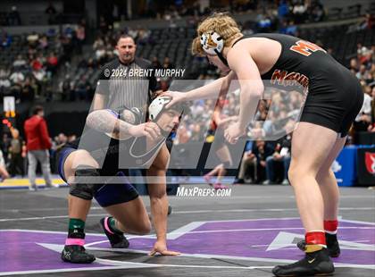 Thumbnail 1 in CHSAA State Championship - 4A Finals photogallery.