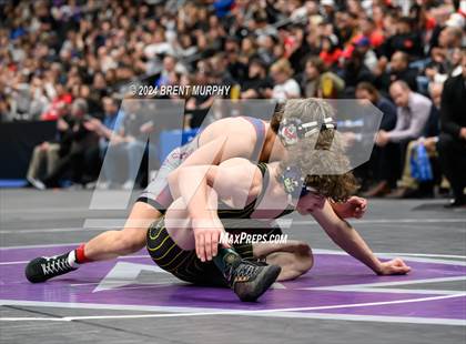 Thumbnail 1 in CHSAA State Championship - 4A Finals photogallery.
