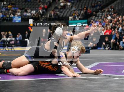 Thumbnail 3 in CHSAA State Championship - 4A Finals photogallery.