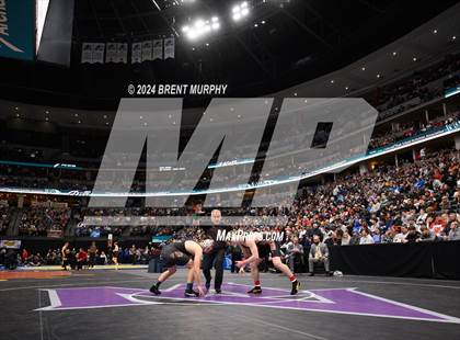 Thumbnail 1 in CHSAA State Championship - 4A Finals photogallery.