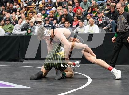Thumbnail 3 in CHSAA State Championship - 4A Finals photogallery.