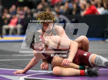 Thumbnail 1 in CHSAA State Championship - 4A Finals photogallery.