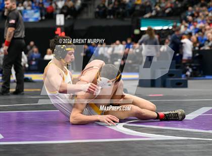 Thumbnail 2 in CHSAA State Championship - 4A Finals photogallery.