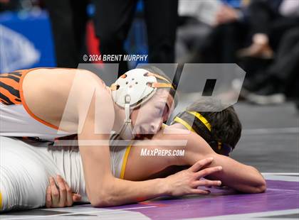 Thumbnail 1 in CHSAA State Championship - 4A Finals photogallery.