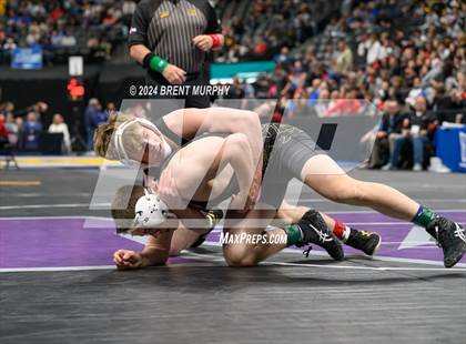 Thumbnail 2 in CHSAA State Championship - 4A Finals photogallery.