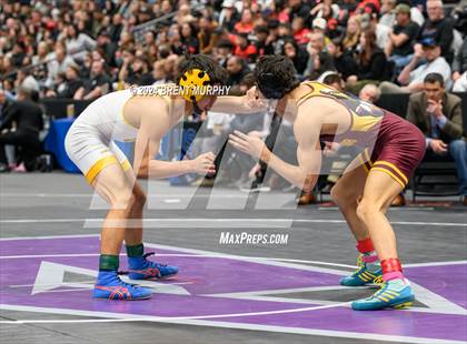 Thumbnail 3 in CHSAA State Championship - 4A Finals photogallery.