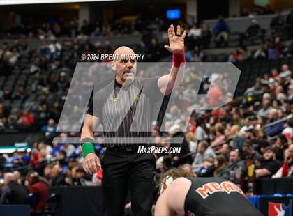 Thumbnail 1 in CHSAA State Championship - 4A Finals photogallery.