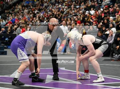 Thumbnail 2 in CHSAA State Championship - 4A Finals photogallery.