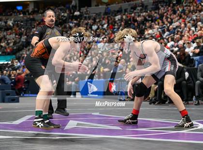Thumbnail 2 in CHSAA State Championship - 4A Finals photogallery.