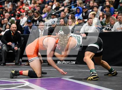 Thumbnail 1 in CHSAA State Championship - 4A Finals photogallery.