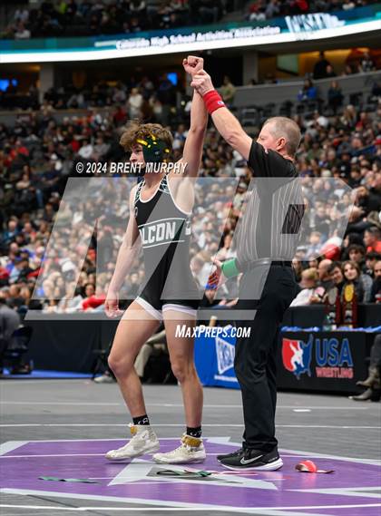 Thumbnail 1 in CHSAA State Championship - 4A Finals photogallery.