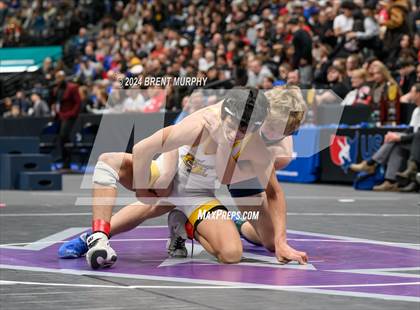 Thumbnail 1 in CHSAA State Championship - 4A Finals photogallery.