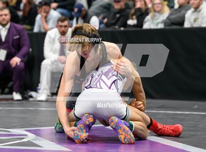 Thumbnail 1 in CHSAA State Championship - 4A Finals photogallery.