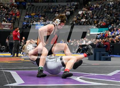 Thumbnail 2 in CHSAA State Championship - 4A Finals photogallery.