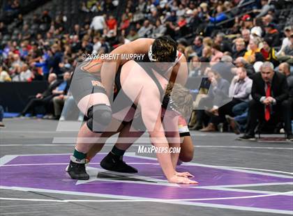 Thumbnail 3 in CHSAA State Championship - 4A Finals photogallery.