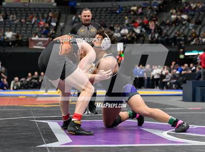 Thumbnail 2 in CHSAA State Championship - 4A Finals photogallery.