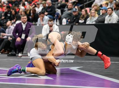 Thumbnail 3 in CHSAA State Championship - 4A Finals photogallery.