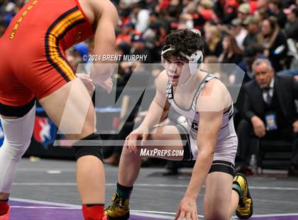 Thumbnail 2 in CHSAA State Championship - 4A Finals photogallery.
