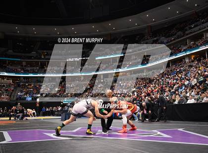 Thumbnail 3 in CHSAA State Championship - 4A Finals photogallery.