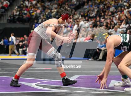 Thumbnail 3 in CHSAA State Championship - 4A Finals photogallery.