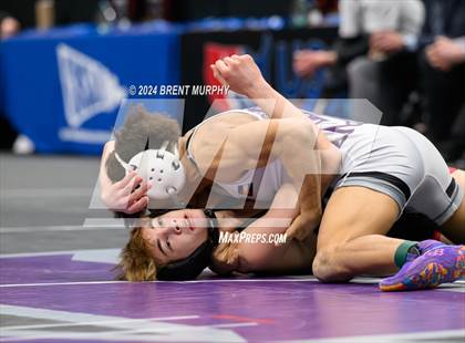 Thumbnail 1 in CHSAA State Championship - 4A Finals photogallery.