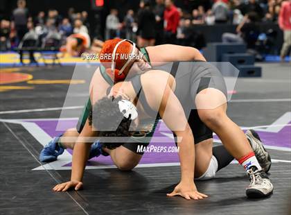Thumbnail 3 in CHSAA State Championship - 4A Finals photogallery.