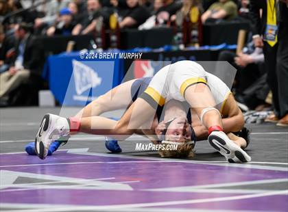 Thumbnail 2 in CHSAA State Championship - 4A Finals photogallery.