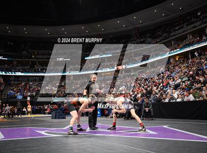 Thumbnail 3 in CHSAA State Championship - 4A Finals photogallery.