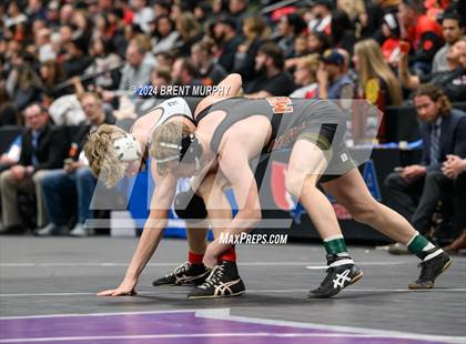 Thumbnail 1 in CHSAA State Championship - 4A Finals photogallery.