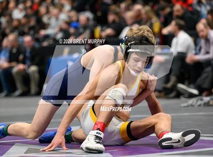 Thumbnail 2 in CHSAA State Championship - 4A Finals photogallery.