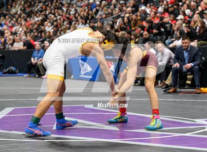 Thumbnail 3 in CHSAA State Championship - 4A Finals photogallery.