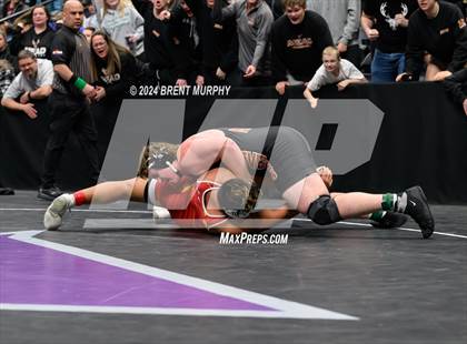 Thumbnail 1 in CHSAA State Championship - 4A Finals photogallery.