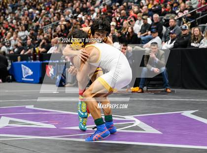 Thumbnail 2 in CHSAA State Championship - 4A Finals photogallery.