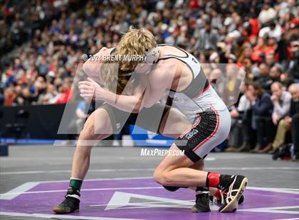 Thumbnail 3 in CHSAA State Championship - 4A Finals photogallery.