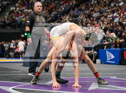 Thumbnail 1 in CHSAA State Championship - 4A Finals photogallery.