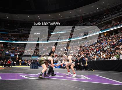 Thumbnail 2 in CHSAA State Championship - 4A Finals photogallery.