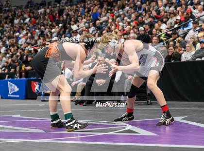 Thumbnail 1 in CHSAA State Championship - 4A Finals photogallery.