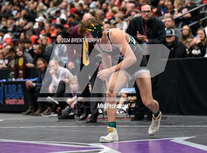Thumbnail 2 in CHSAA State Championship - 4A Finals photogallery.