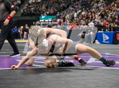 Thumbnail 3 in CHSAA State Championship - 4A Finals photogallery.