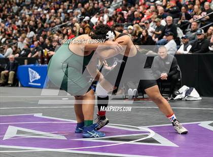 Thumbnail 1 in CHSAA State Championship - 4A Finals photogallery.