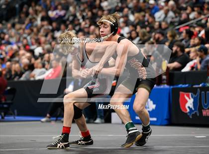 Thumbnail 3 in CHSAA State Championship - 4A Finals photogallery.