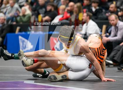 Thumbnail 2 in CHSAA State Championship - 4A Finals photogallery.