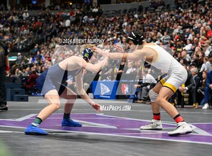 Thumbnail 3 in CHSAA State Championship - 4A Finals photogallery.