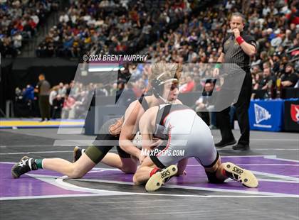 Thumbnail 2 in CHSAA State Championship - 4A Finals photogallery.