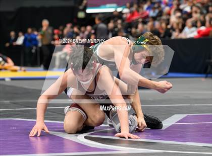 Thumbnail 2 in CHSAA State Championship - 4A Finals photogallery.
